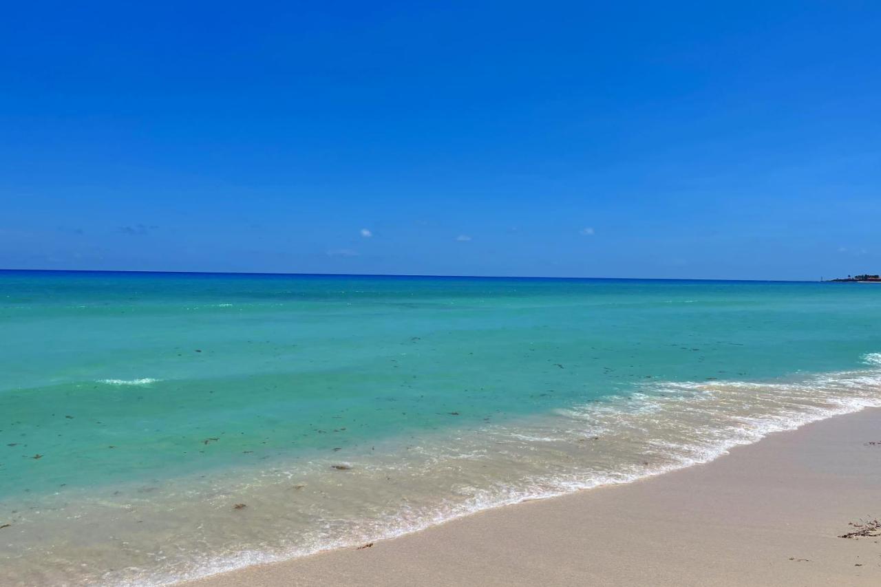 Renovated Studio In Cancun Beach At The Hotel Zone Εξωτερικό φωτογραφία