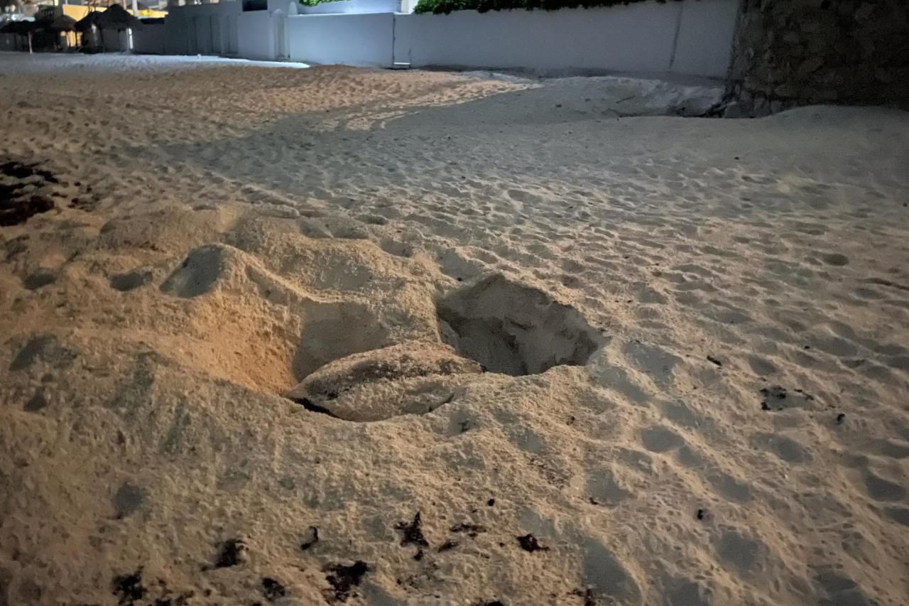 Renovated Studio In Cancun Beach At The Hotel Zone Εξωτερικό φωτογραφία